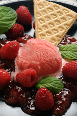 Rubus idaeus Gelato Σμέουρο Ice cream Himbeere Lody Raspberry 覆盆子 Lamponi Malina Eis właściwa παγωτό 