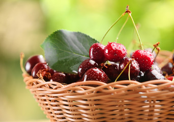Wicker basket with fresh cherry outdoors, closeup