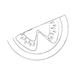 tomato slices icon over white background vector illustration