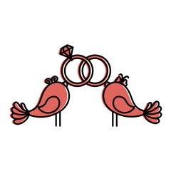 Cute couple of birdies icon vector illustration graphic design