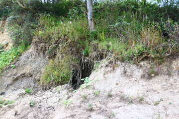 Abbruchkante an der Steilküste zwischen Niendorf an der Ostsee und Travemünde