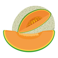 Melon delicious fruit icon vector illustration graphic design