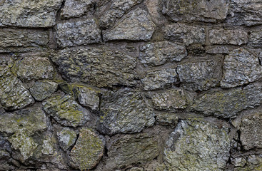 Texture castle wall gray stone blocks old covered with green moss texture background