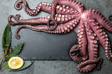 Octopus. Food background with seafood raw fresh octopus, laurel and lemon. copy space, gray slate background. Octopus, laurel and lemon around black slate board. Top view