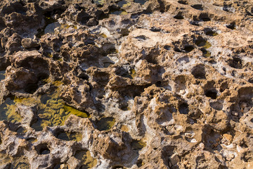 Texture of a weathered stone canvas with craters and natural salt natural background