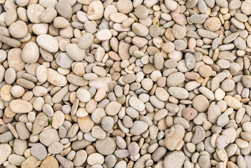 Fototapety  Stone beige smooth river pebble shore water