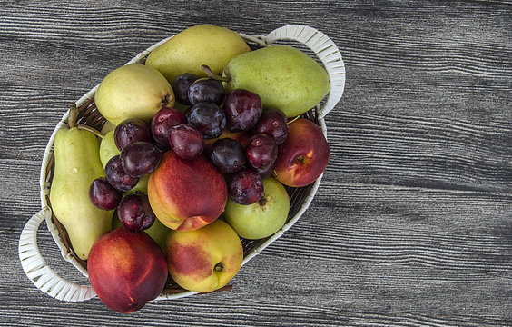 web design according pears and nectarines photos
Mixed apple, pear, nectarine and plum pictures in a fruit basket

