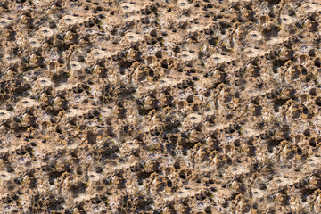 Natural stone background canvas weathered surface craters beige brown lunar soil