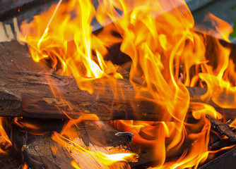 brown log is covered with an orange bright flame of a fire with long tongues