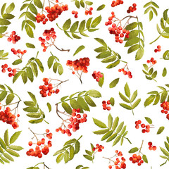 Autumn Rowan Berry Seamless Background. Floral Fall Pattern with Leaves and Berries in Vector - obrazy, fototapety, plakaty