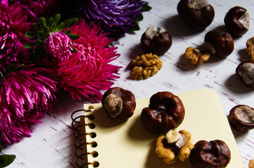 White wooden background with asters and notebook back to school