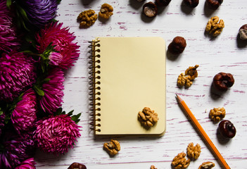 White wooden background with asters and notebook back to school