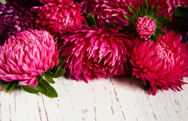 White wooden background with asters in autumn