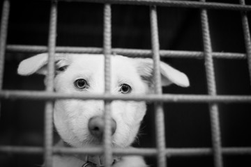 In shelter