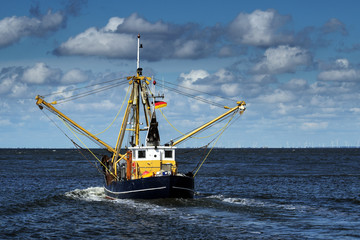crabs or shrimp fishing boat on the North Sea under a blue sky with clouds, copy space