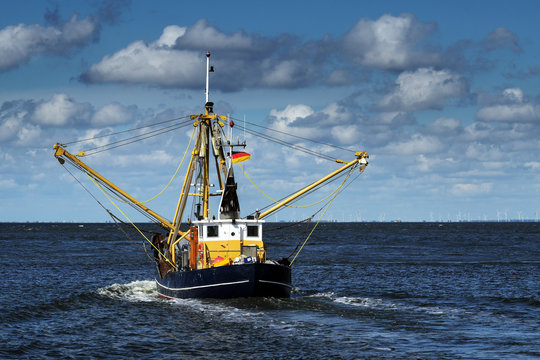 Fototapeta crabs or shrimp fishing boat on the North Sea under a blue sky with clouds, copy space