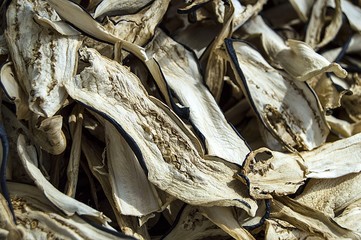 Dry foods, vegetable dry, aubergine dry pictures, vegetable dry for health,
