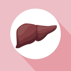 color background with circular frame liver organ human body vector illustration
