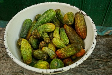 куча огурцов в старой белой миске на улице у стены