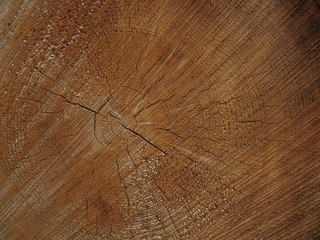 wood face