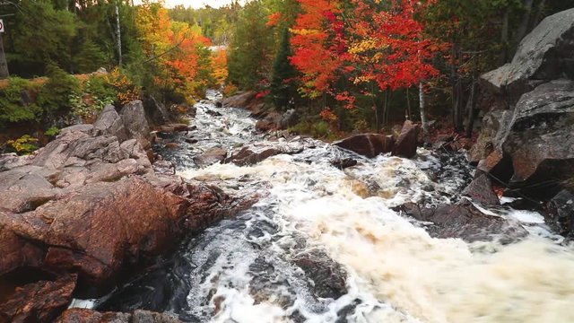 Colorful trees along creek with rapids in autumn