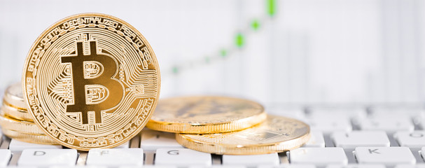 Bitcoin gold coin. Cryptocurrency concept.