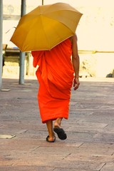 La paz de un monje en un día cualquiera 