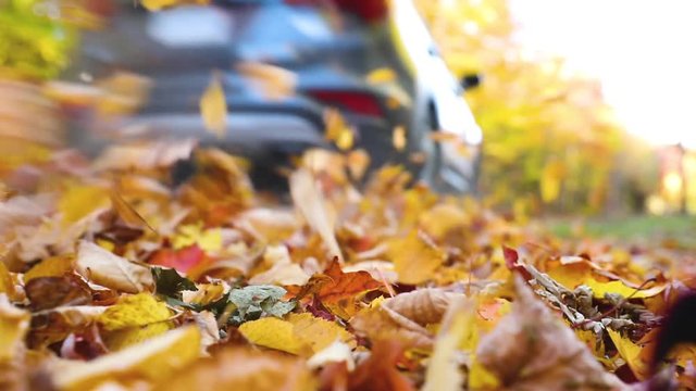 Car passing and making autumn leaves fly, slow motion