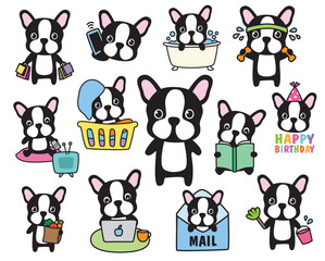 Vector of French Bulldog or Boston Terrier dog activity set including shopping, working out, grocery shopping, working, cleaning, laundry, birthday.
