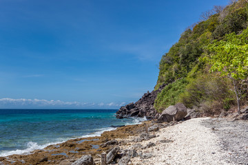 Fototapeta premium Apo Island coast with green jungle and clear blue ocean waters under a sunny sky.