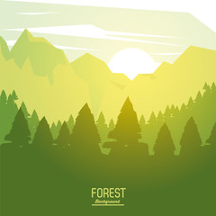 colorful poster forest background with sunrise landscape of forest with trees vector illustration