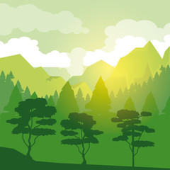 colorful background with sunrise landscape of forest with trees vector illustration