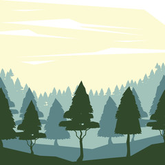 colorful background with dawn landscape of forest vector illustration