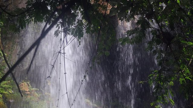 View from behind the waterfall in jungle ( close up )