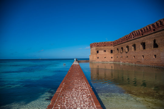 Dry Tortuga In Flortida