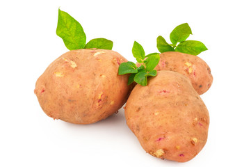 Red potatoes with leaves on a white