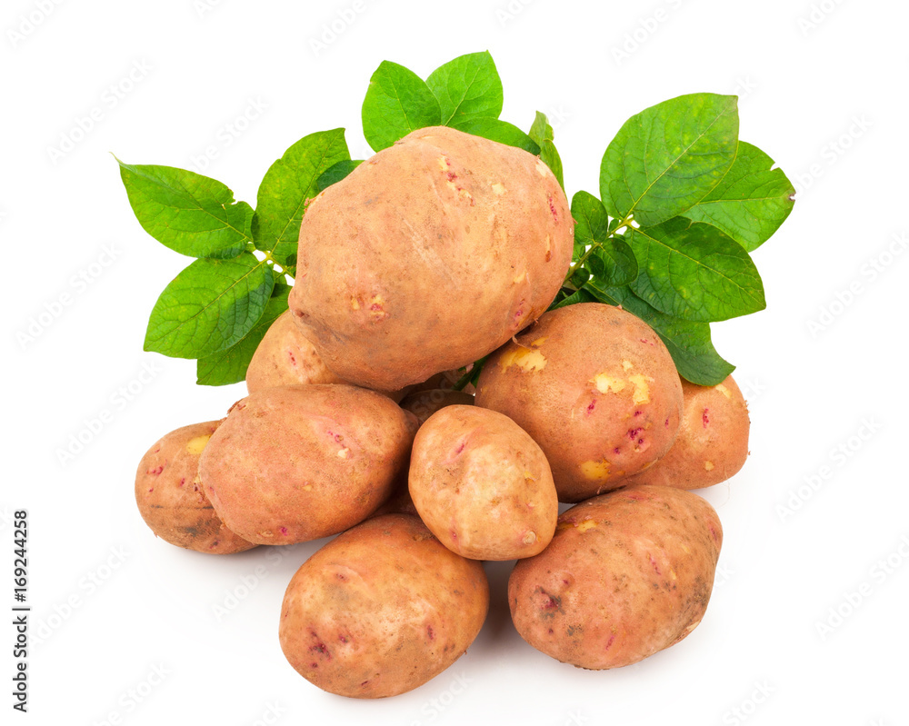 Wall mural red potatoes with leaves on a white