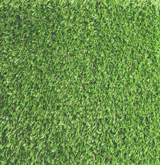 Green Grass Background