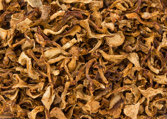 Dried Chanterelles close-up shot, selective focus