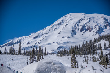 Mt Rainier