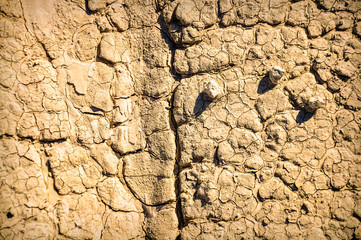 Cracked Ground