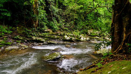 Obraz premium Beautiful waterfall in Thailand