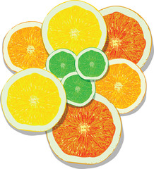 lemon, orange, lime, grapefruit slices on white background