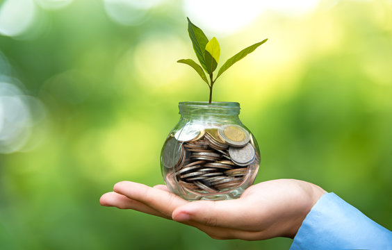 Businessman hand holding  coin money cover growing plant.  Plant growing out of coins with filter effect, money growing and small tree in jar, green nature background.  Investment concept.