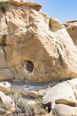 Bird's Nest with twigs and branches visible made in aan opening in a sandstone cliff. Guano is seen at the entrance.