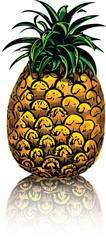 illustration of pineapple on white background