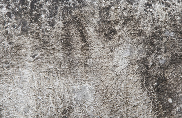 Old cement surface background with fungus stains.