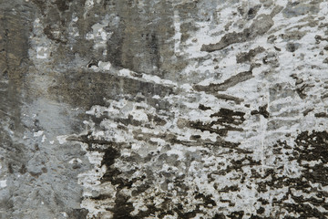 Old cement surface background with fungus stains.