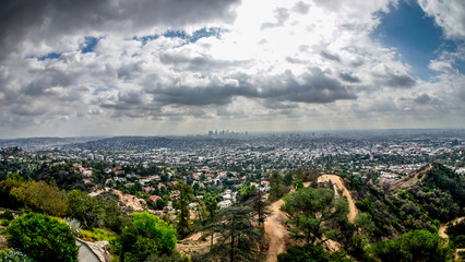 Los Angeles Skyline 