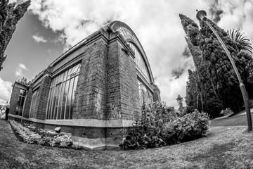 Auckland Winter Gardens